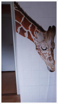 Giraffe - 2021 Muurschildering