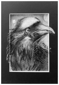 the Birds 4, 2025 
