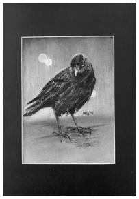the Birds 6, 2025 A4 