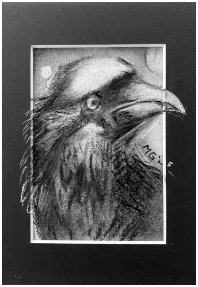 the Birds 4, 2025 